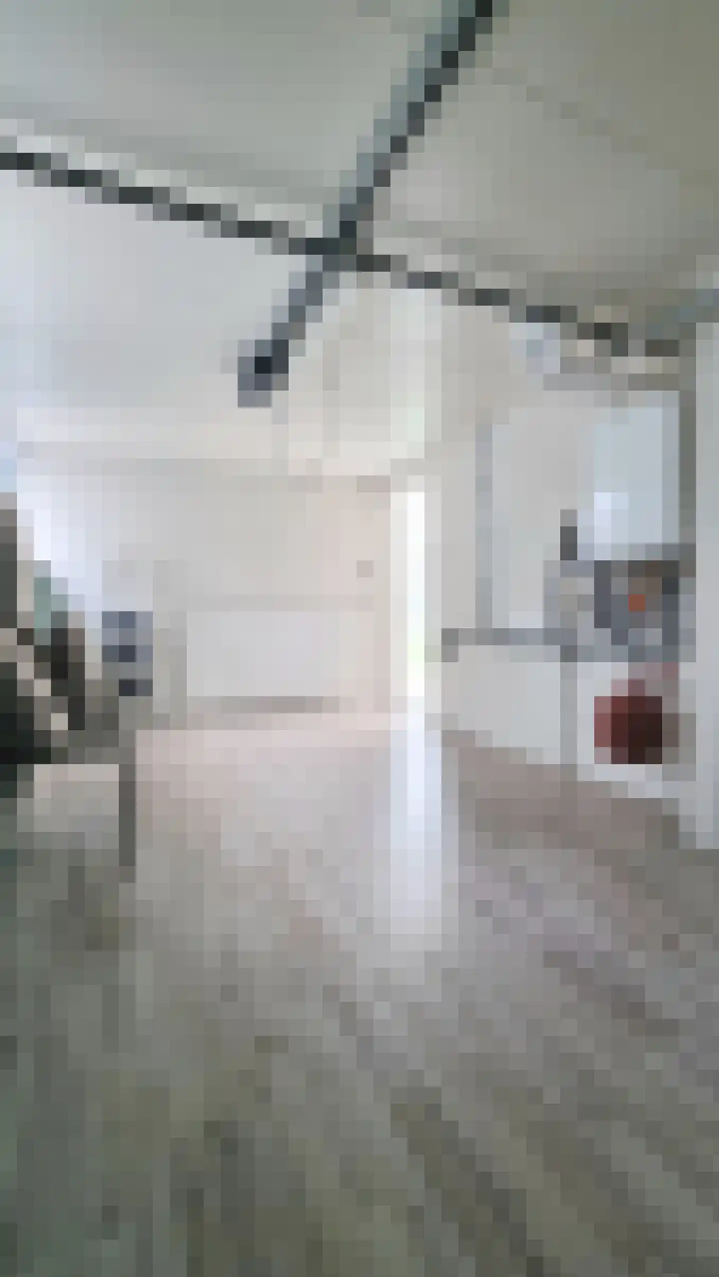 Mr. P.C. Hennequinstraat 24 Oostburg thumbnail 22