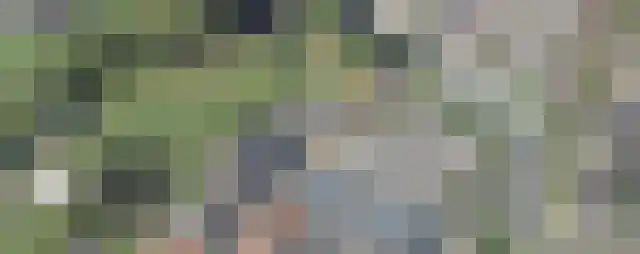 Mr. P.C. Hennequinstraat 24 Oostburg thumbnail 30