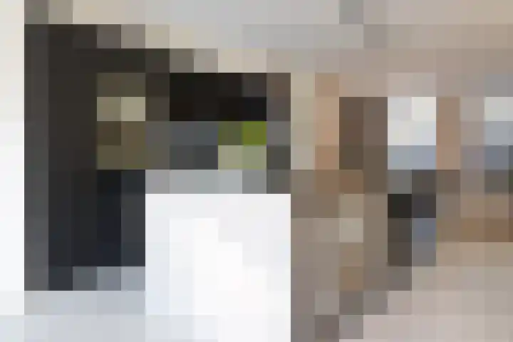 Mr. P.C. Hennequinstraat 8 Oostburg thumbnail 10