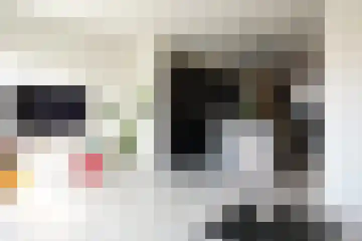 Mr. P.C. Hennequinstraat 8 Oostburg thumbnail 16