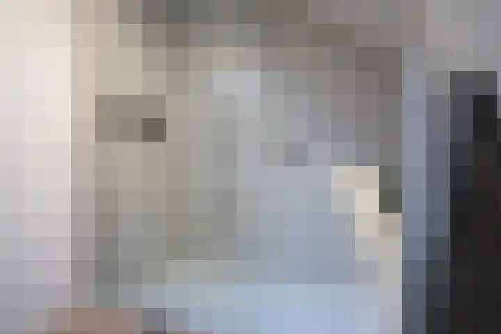 Mr. P.C. Hennequinstraat 8 Oostburg thumbnail 29