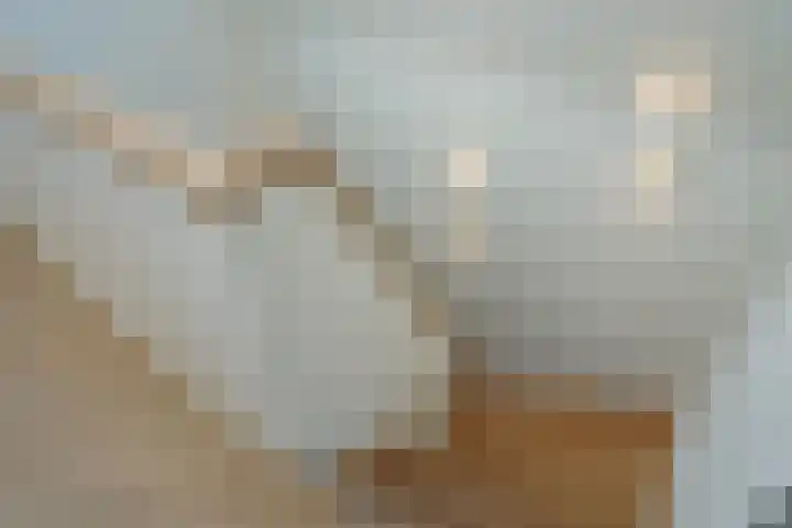 Mr. P.C. Hennequinstraat 8 Oostburg thumbnail 35