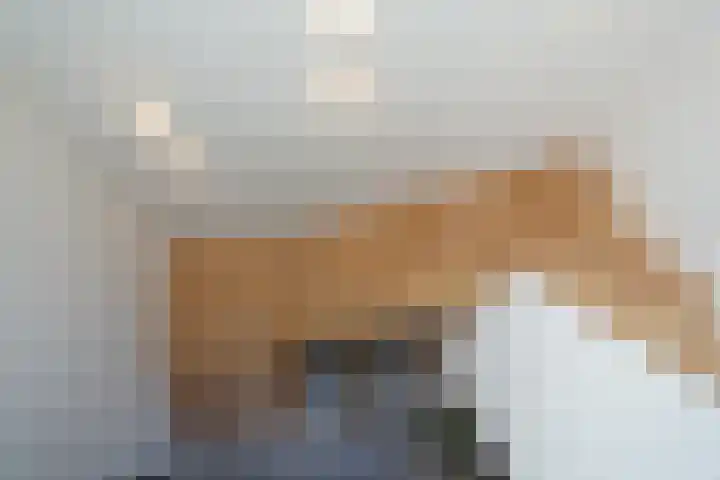 Mr. P.C. Hennequinstraat 8 Oostburg thumbnail 36