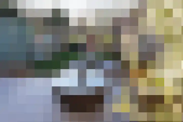 Mr. P.C. Hennequinstraat 8 Oostburg thumbnail 40