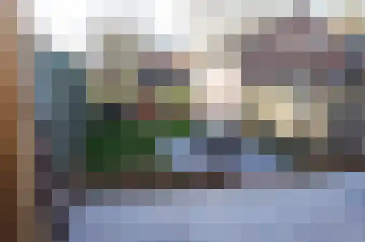 Mr. P.C. Hennequinstraat 8 Oostburg thumbnail 41