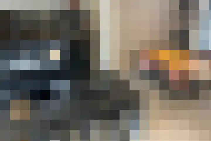 Mr. P.C. Hennequinstraat 8 Oostburg thumbnail 5