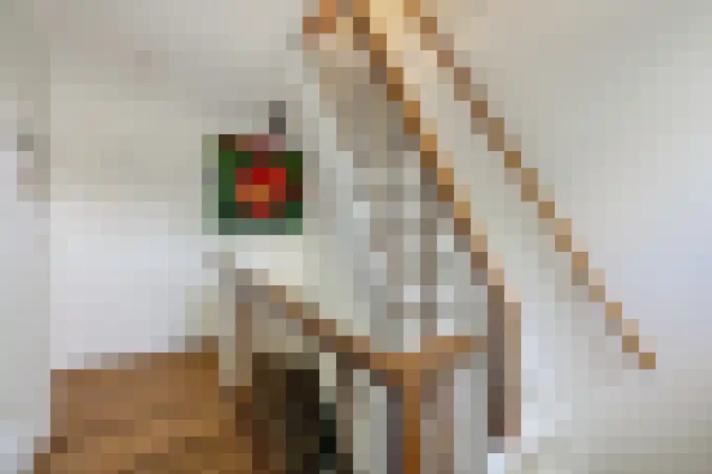 Mr P D Kleylaan 30 Nieuwerkerk aan den IJssel thumbnail 36