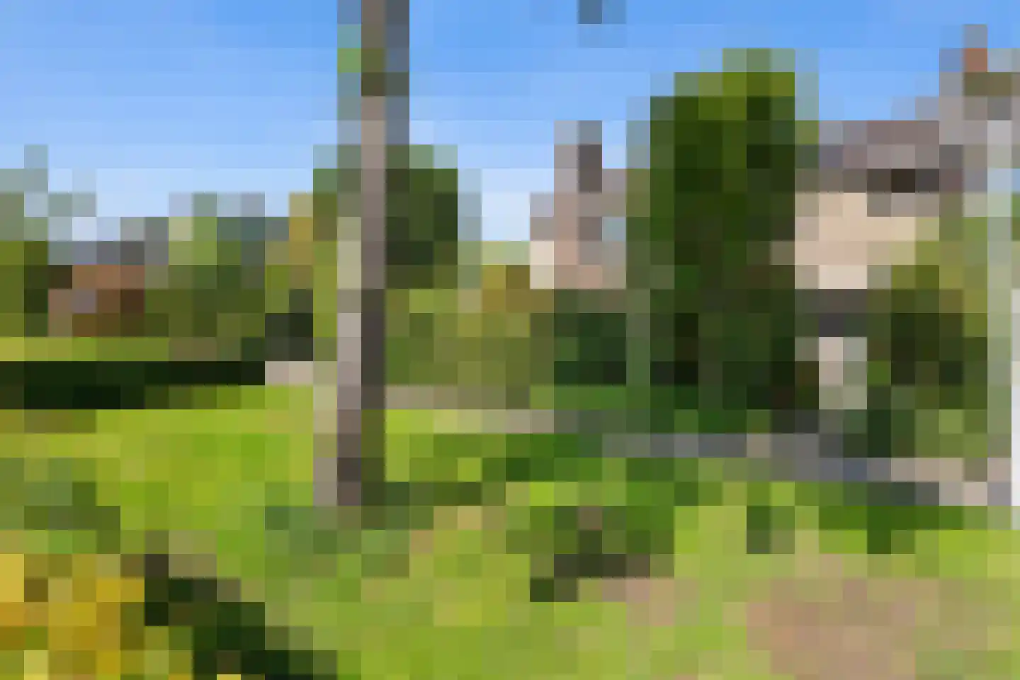 Mr P D Kleylaan 30 Nieuwerkerk aan den IJssel thumbnail 4