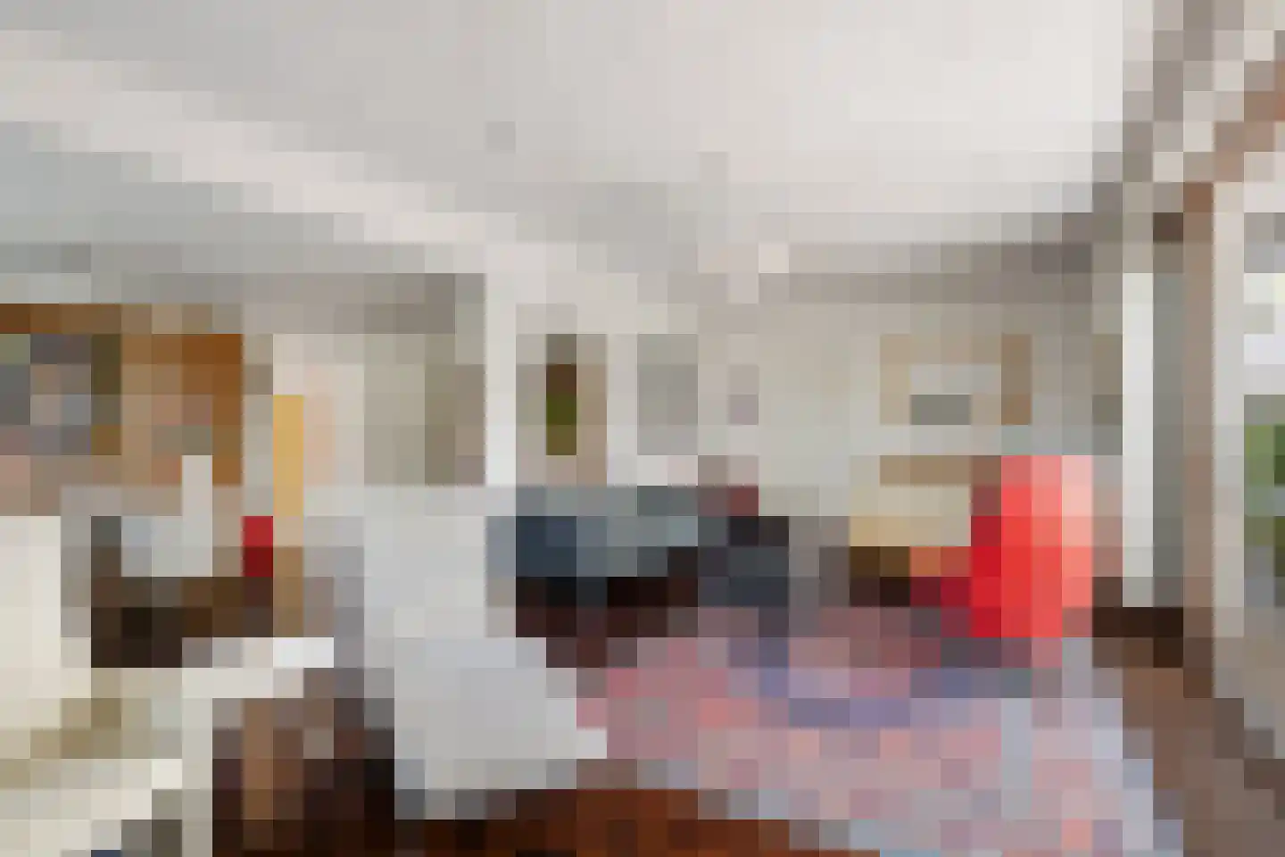 Mr P D Kleylaan 30 Nieuwerkerk aan den IJssel thumbnail 7