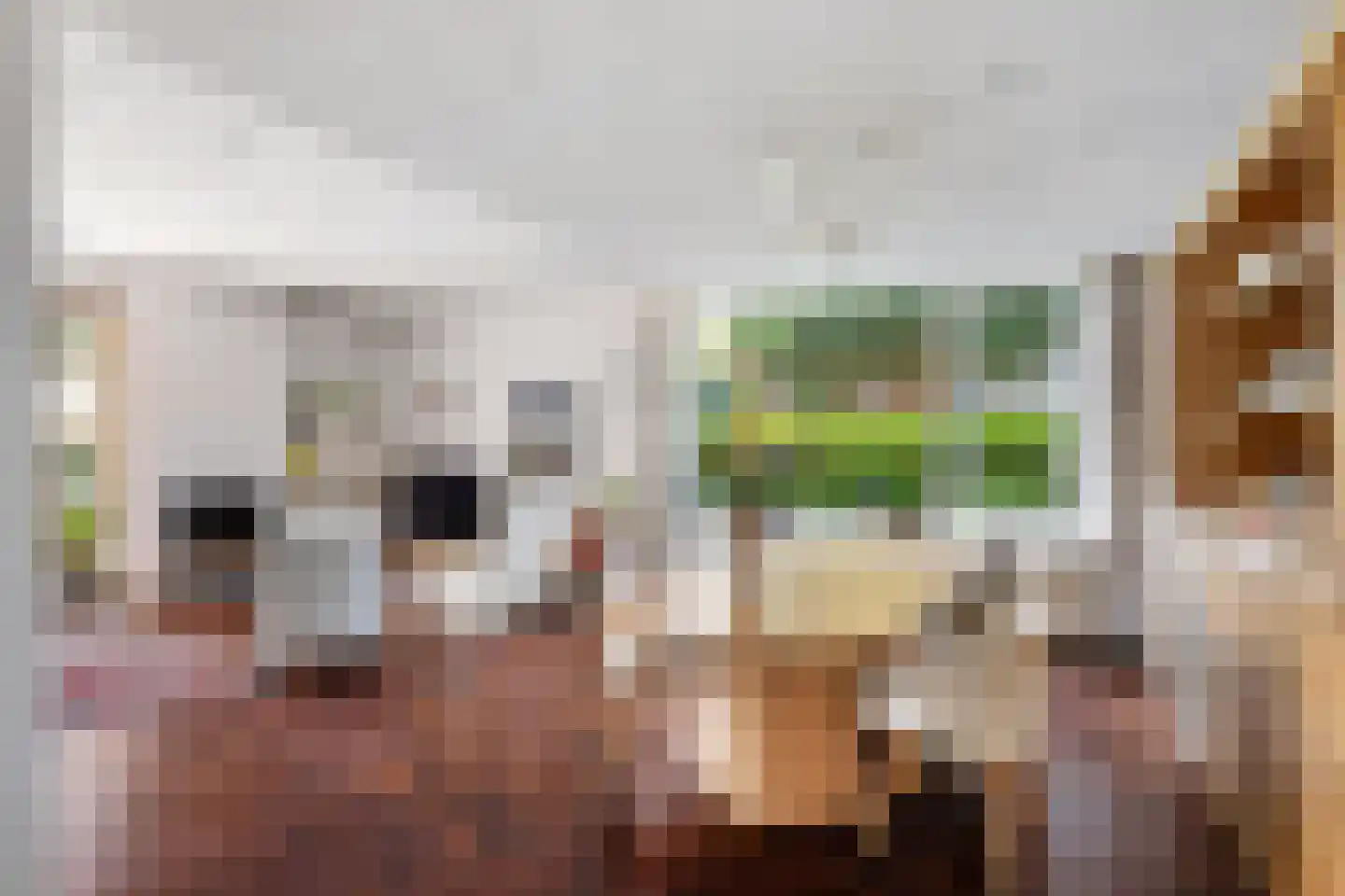 Mr P D Kleylaan 30 Nieuwerkerk aan den IJssel thumbnail 8