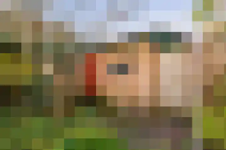 Mr. P.J.M. Aalberselaan 15 Amstelveen thumbnail 13