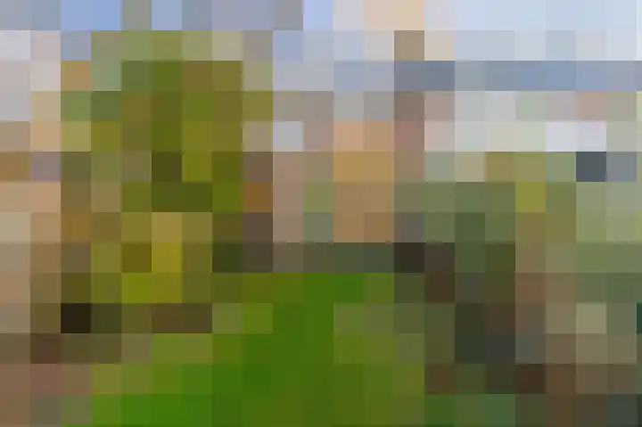Mr. P.J.M. Aalberselaan 15 Amstelveen thumbnail 4