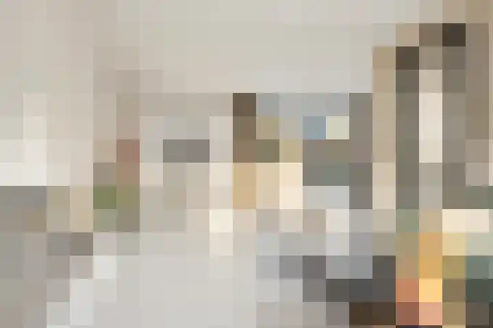Mr P J Oudlaan 18 Zwolle thumbnail 10