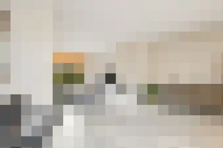 Mr P J Oudlaan 18 Zwolle thumbnail 11