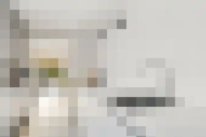 Mr P J Oudlaan 18 Zwolle thumbnail 14