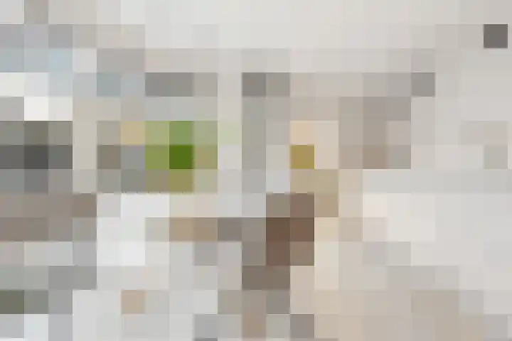 Mr P J Oudlaan 18 Zwolle thumbnail 15