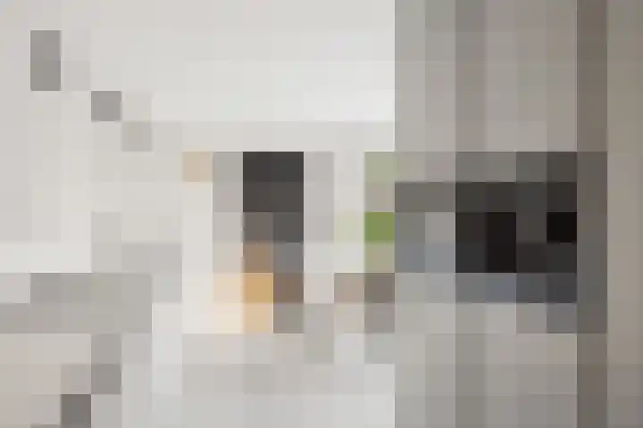 Mr P J Oudlaan 18 Zwolle thumbnail 16