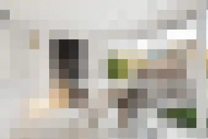 Mr P J Oudlaan 18 Zwolle thumbnail 18