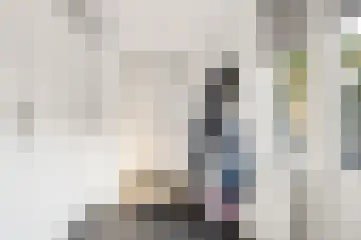 Mr P J Oudlaan 18 Zwolle thumbnail 19
