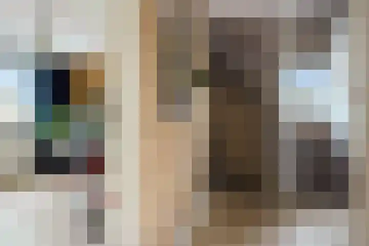 Mr P J Oudlaan 18 Zwolle thumbnail 20