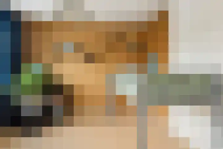 Mr P J Oudlaan 18 Zwolle thumbnail 25