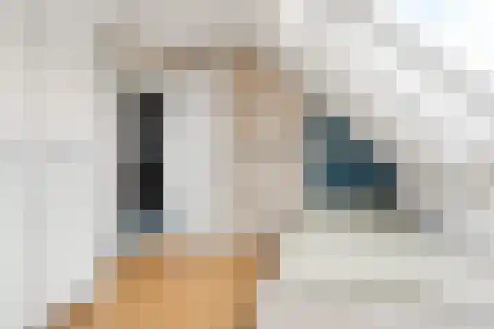 Mr P J Oudlaan 18 Zwolle thumbnail 31