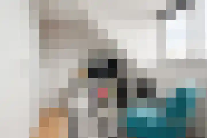 Mr P J Oudlaan 18 Zwolle thumbnail 32