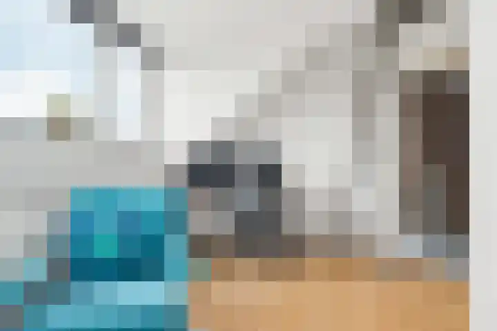 Mr P J Oudlaan 18 Zwolle thumbnail 33