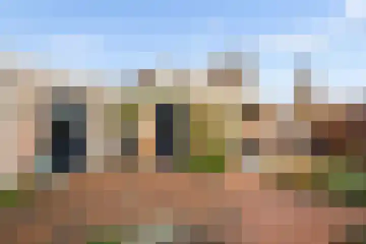 Mr P J Oudlaan 18 Zwolle thumbnail 38