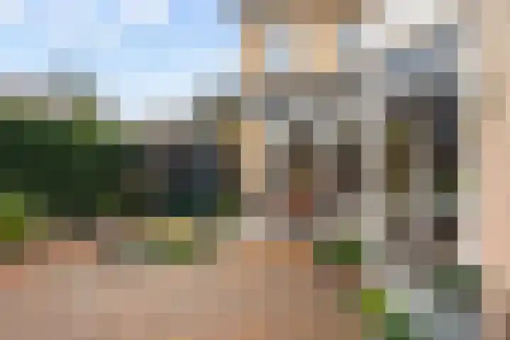 Mr P J Oudlaan 18 Zwolle thumbnail 40