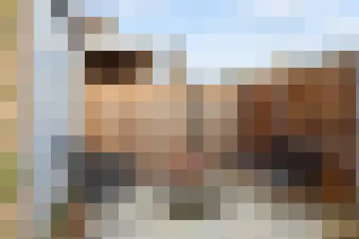 Mr P J Oudlaan 18 Zwolle thumbnail 41