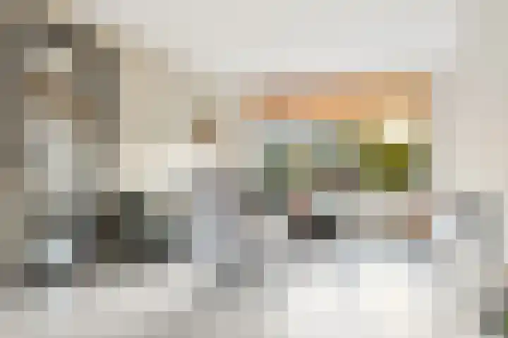 Mr P J Oudlaan 18 Zwolle thumbnail 7