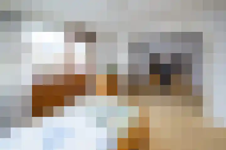 Mr P J Oudlaan 32 Zwolle thumbnail 13
