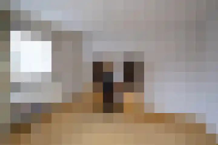 Mr P J Oudlaan 32 Zwolle thumbnail 16