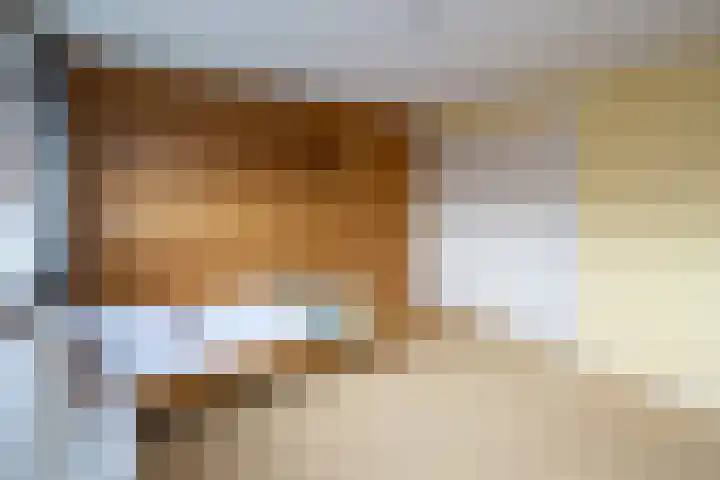 Mr P J Oudlaan 32 Zwolle thumbnail 17