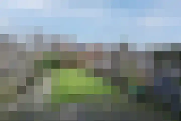 Mr P J Oudlaan 32 Zwolle thumbnail 26