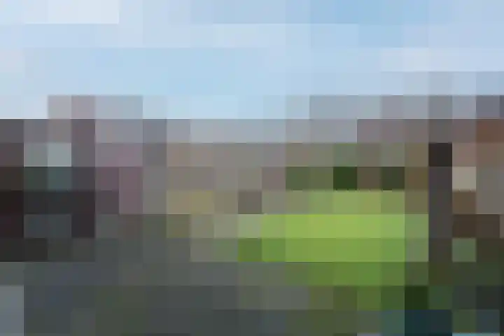 Mr P J Oudlaan 32 Zwolle thumbnail 27