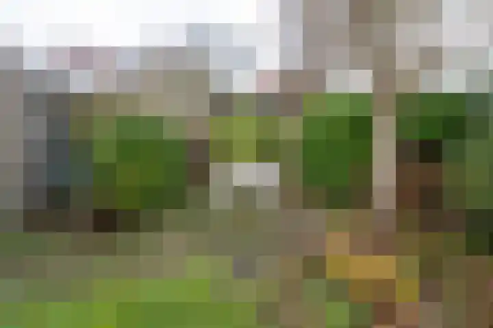 Mr P J Oudlaan 32 Zwolle thumbnail 28