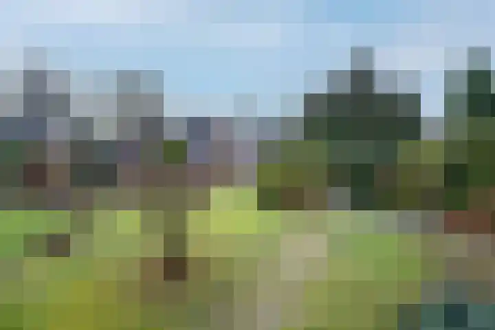 Mr P J Oudlaan 32 Zwolle thumbnail 30