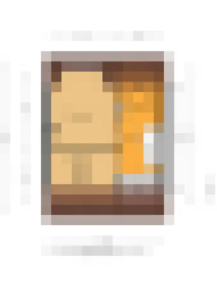 Mr P J Oudlaan 32 Zwolle thumbnail 33
