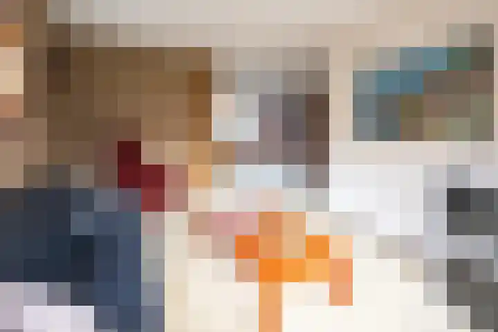 Mr P J Oudlaan 32 Zwolle thumbnail 4