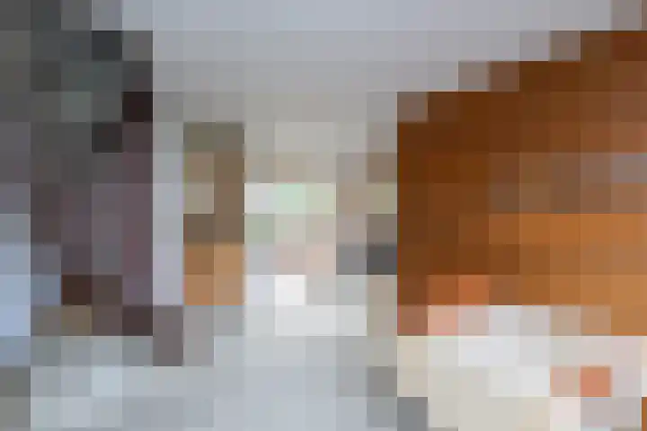 Mr P J Oudlaan 32 Zwolle thumbnail 7