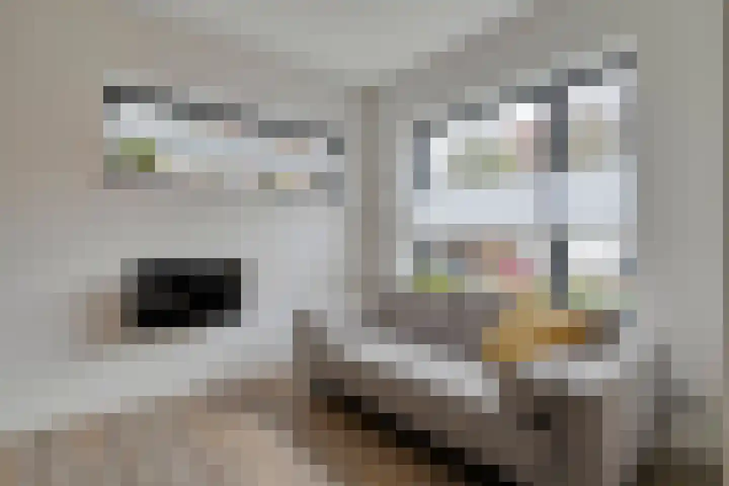 Mr P J Oudlaan 41 Zwolle thumbnail 25