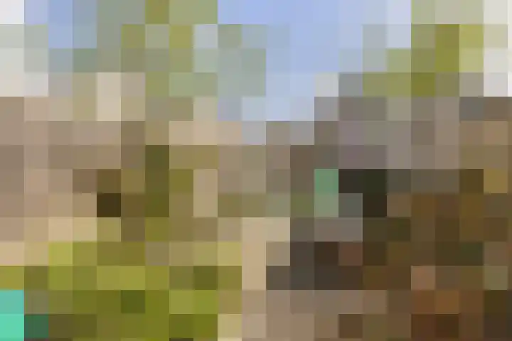 Mr. P.J. Oudsingel 101 Arnhem thumbnail 4