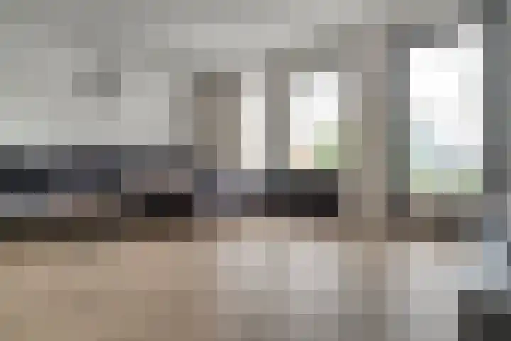 Mr. P.J. Oudsingel 31 Arnhem thumbnail 21