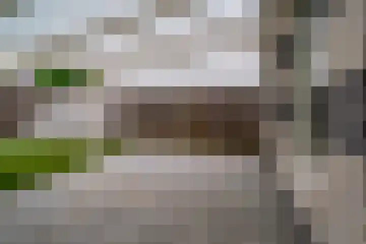 Mr. P.J. Oudsingel 31 Arnhem thumbnail 27