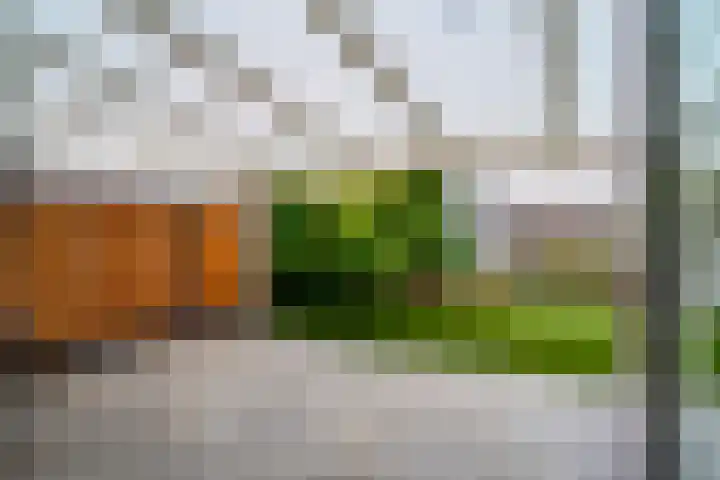 Mr. P.J. Oudsingel 31 Arnhem thumbnail 31