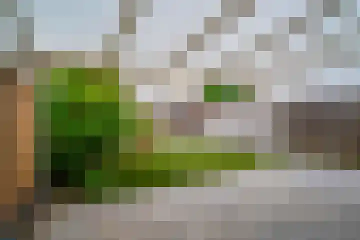 Mr. P.J. Oudsingel 31 Arnhem thumbnail 32