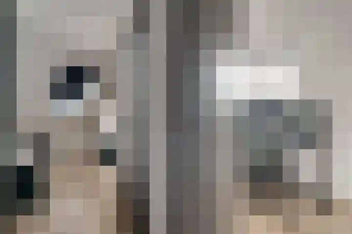 Mr. P.J. Oudsingel 31 Arnhem thumbnail 35