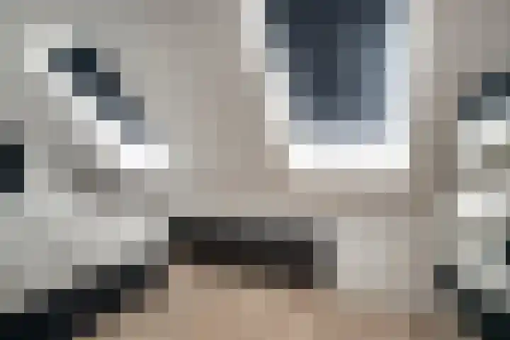 Mr. P.J. Oudsingel 31 Arnhem thumbnail 38